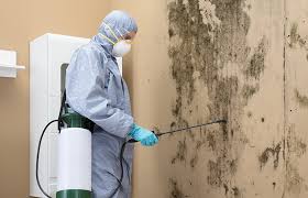 Best Black Mold Removal  in Ritzville, WA